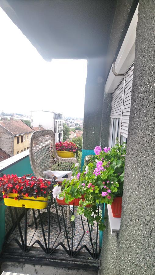 Garden Apartment Белград Екстериор снимка