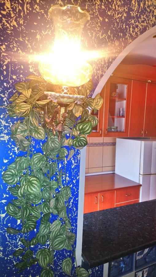 Garden Apartment Белград Екстериор снимка